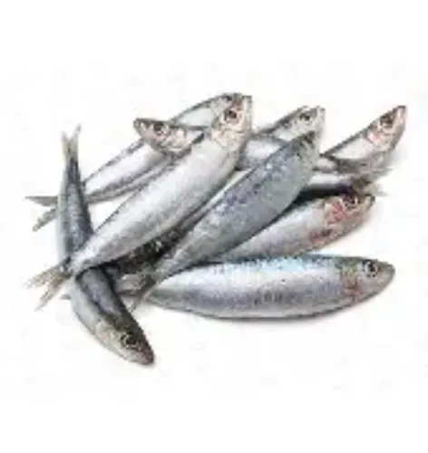 മത്തി (Mathi - Sardine)